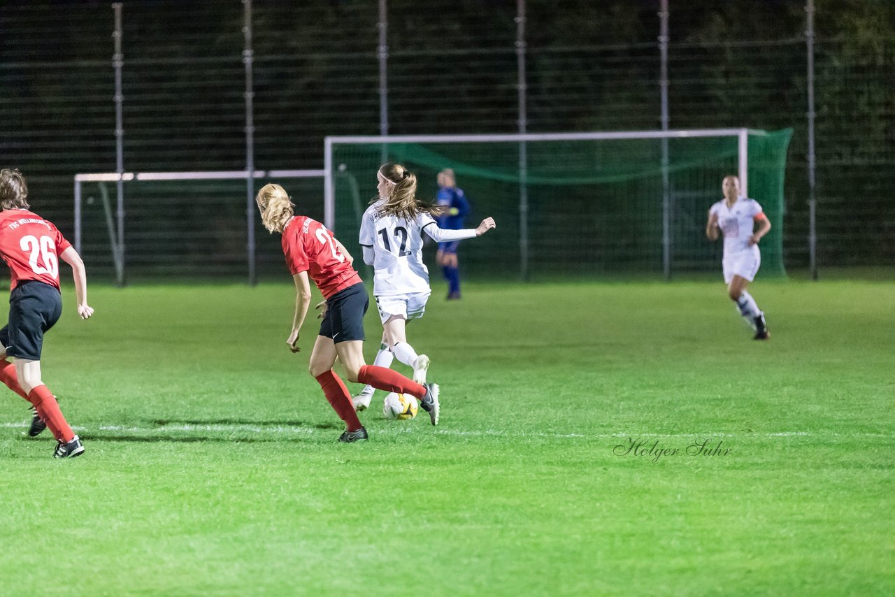 Bild 93 - Frauen SV Henstedt Ulzburg - Wellingsbuettel : Ergebnis: 11:1